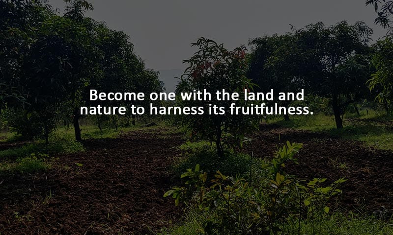 farming-1